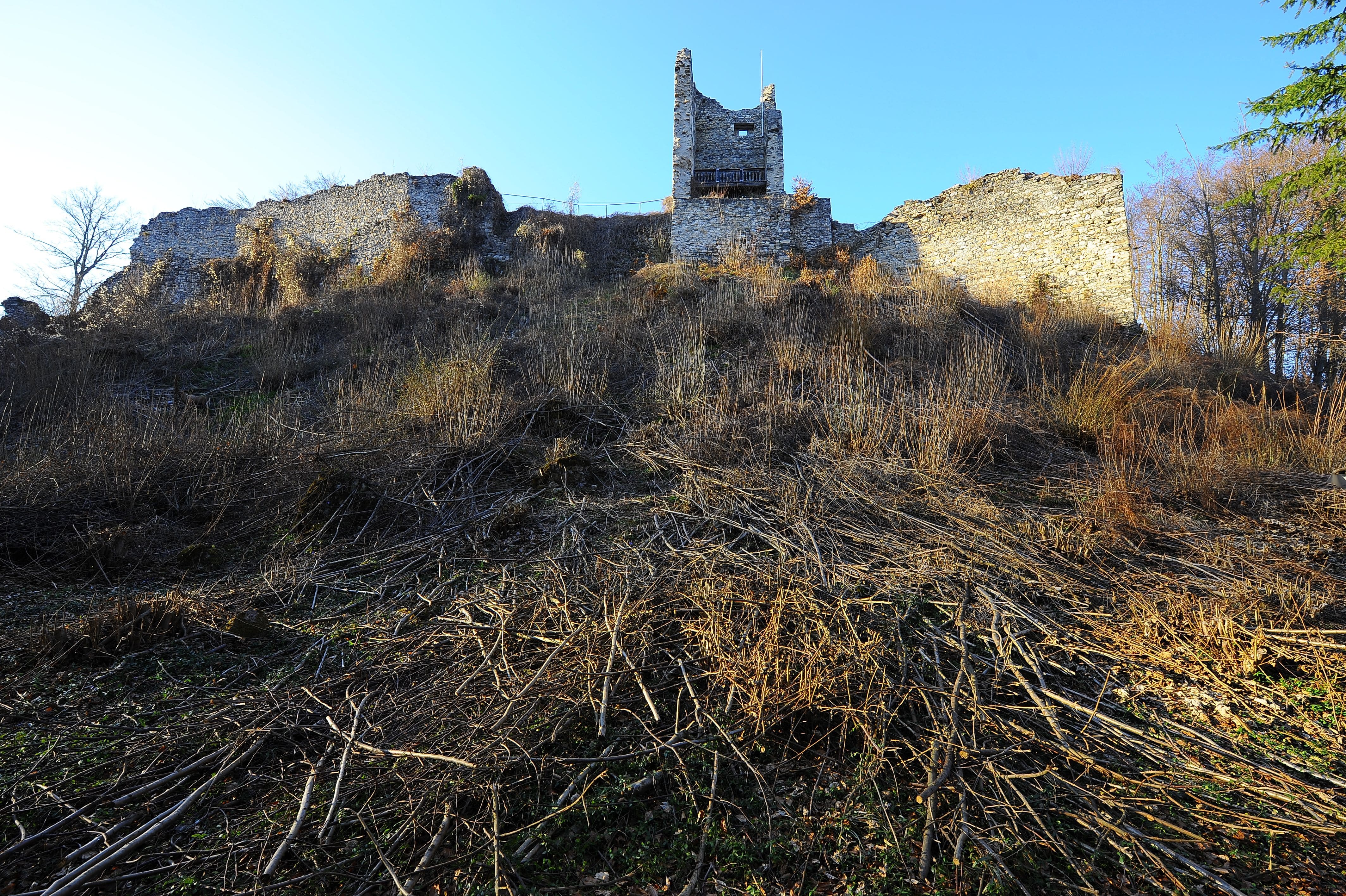 Burgruine Leonstein